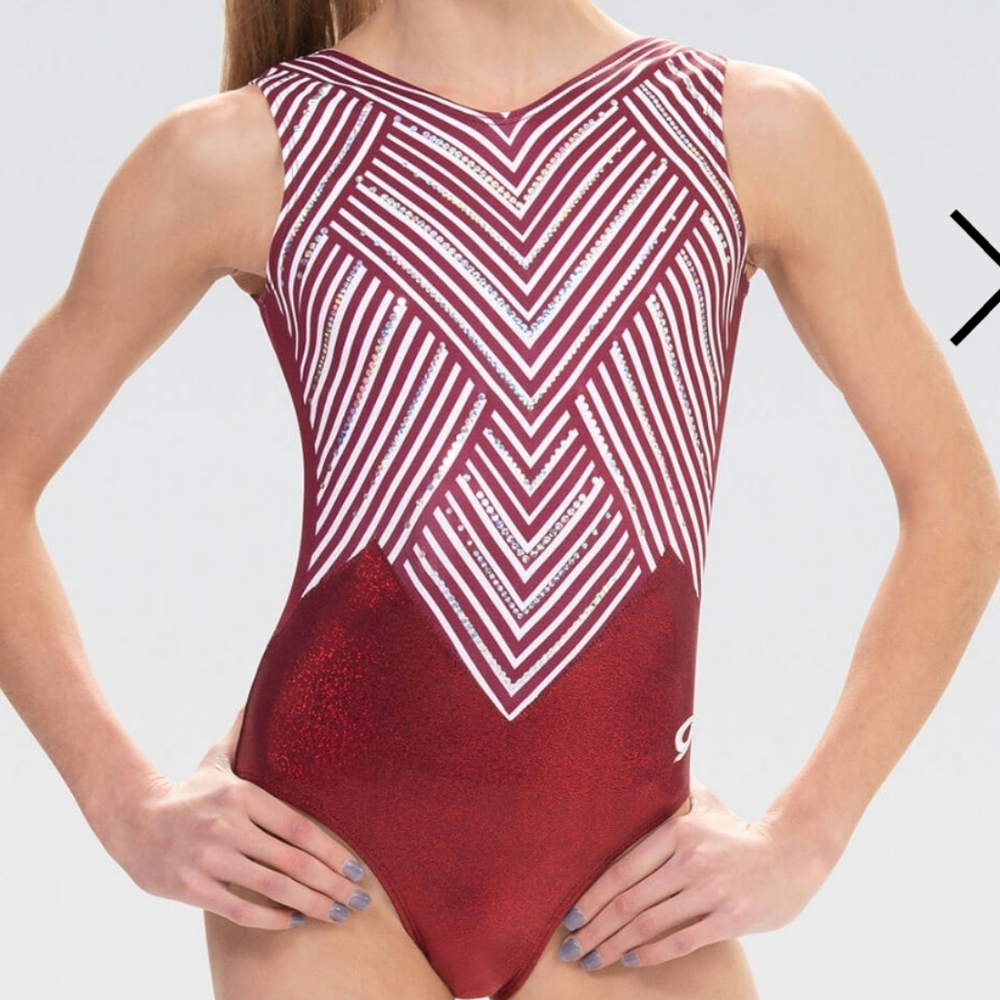 GK 	Chevron Stripe Workout Leotard CL